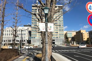 道路照明工事 宇都宮向田線（県庁正面前）イメージ